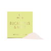 Eucalyptus & Mint Mini Bath Salt Soak
