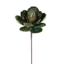  Wild Mini Magnolia Spray