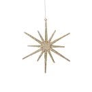  Glistening Star Ornament