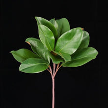  Green Magnolia Leaf Pick