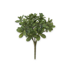  Jade Pick