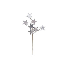  Paper Star Spray