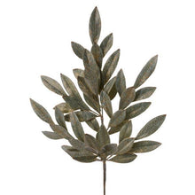  Brushed Bay Leaf Spray