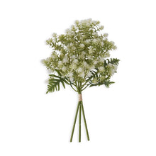  Wild Flower Bundle