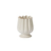 Tulipa Vases