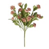 Dianthus Spray w/Eva Foliage