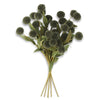 PomPom with Eva Leaves