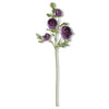 Ranunculus 5 Head Real Touch