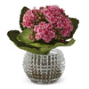 Kalanchoe Premade in Glass Vase