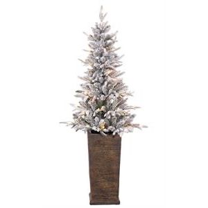 5' POTTED FLOCKED MONTEREY FIR TREE