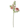Ranunculus 5 Head Real Touch
