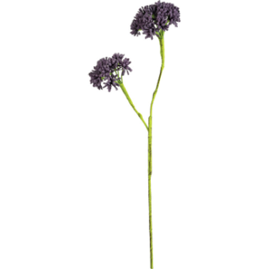 Purple Stem Botanica #2710
