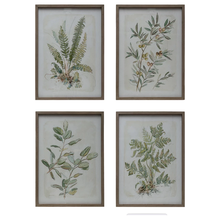  Wood Framed Botanical Print