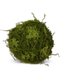 Moss Ball