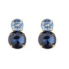 2 Round Stone Earrings