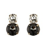 2 Round Stone Earrings