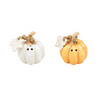 Pumpkin Salt & Pepper Shaker Set