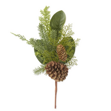  Mixed Pine & Magnolia Stem with Pinecones