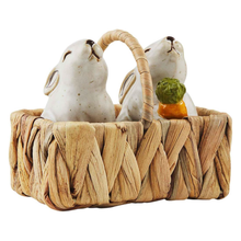  Bunny Salt & Pepper Basket Set