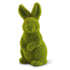 Mossy Standing Bunny