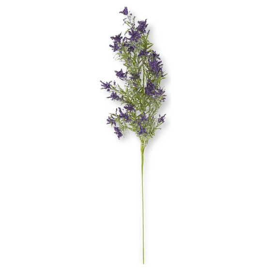 Lavender Stem