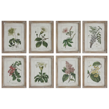  Framed Floral Wall Decor