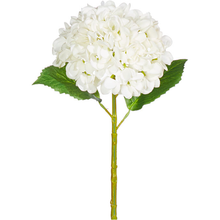  Real Touch White Hydrangea Stem 20"