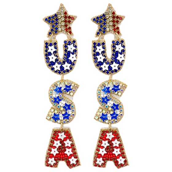 USA Earring