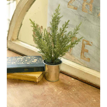  Potted Glittered Cedar Tree