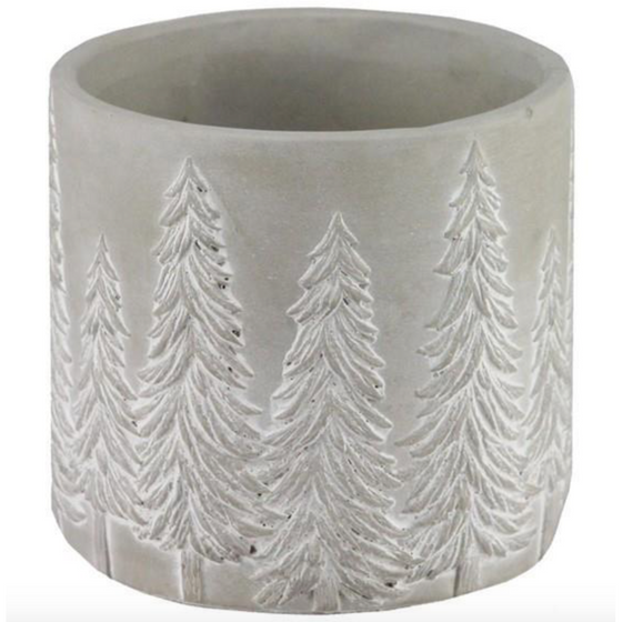 Cement Planter with Pines
