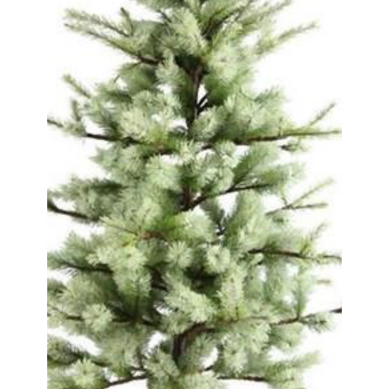 24" Frosted Pine Tree
