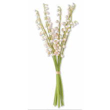  Lily of The Valley Bundle