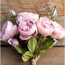  Antique Garden Rose Bundle