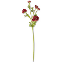  Real Touch 5 Head Ranunculus Stem